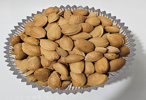 تصویر 3 از خرید بادام سنگی ایرانی + قیمت فروش استثنایی