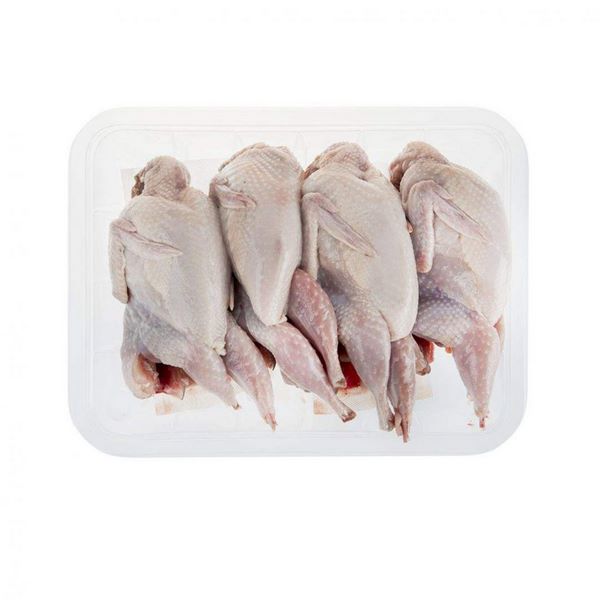 تصویر 4 از قیمت خرید گوشت بلدرچین تازه با فروش عمده