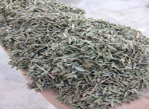 تصویر 2 از خرید و فروش آویشن کوهی خشک شده با شرایط فوق العاده