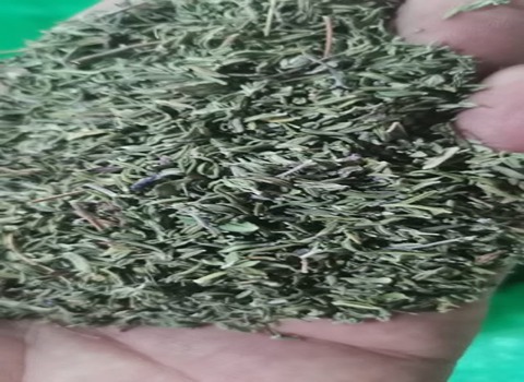 تصویر 4 از خرید و فروش آویشن کوهی خشک شده با شرایط فوق العاده