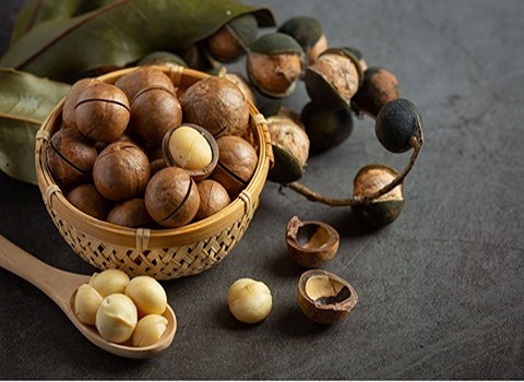 تصویر 3 از فروش فندق شیرین خارجی + قیمت خرید به صرفه