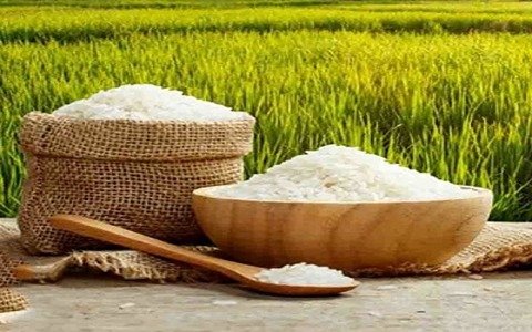 تصویر 2 از قیمت خرید برنج چمپا شمال با فروش عمده