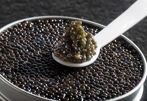 تصویر 3 از خرید خاویار سیاه آذربایجان + قیمت فروش استثنایی