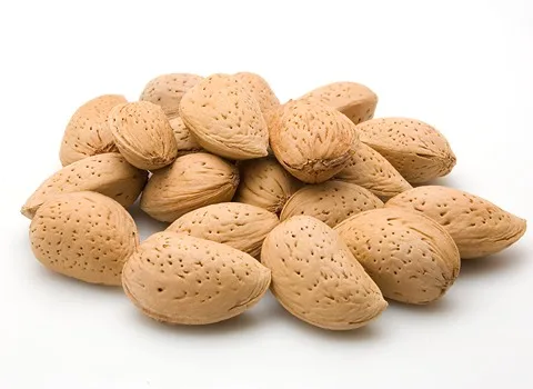 تصویر 1 از قیمت خرید بادام درختی ارگانیک + فروش ویژه و عمده