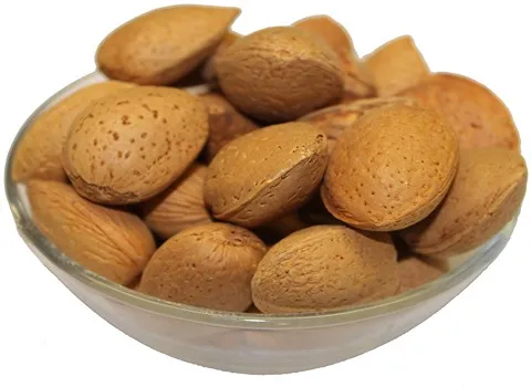 تصویر 2 از قیمت خرید بادام درختی ارگانیک + فروش ویژه و عمده