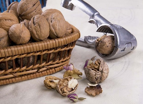 تصویر 1 از خرید گردو کاغذی درشت + قیمت فروش استثنایی