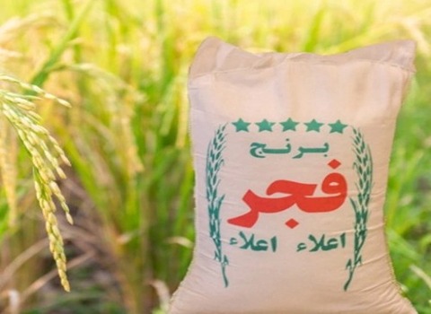 تصویر 4 از قیمت خرید برنج فجر درجه ۱ + فروش ویژه