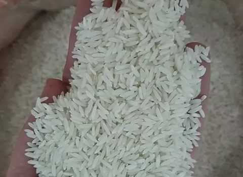 تصویر 3 از قیمت برنج چمپای خوزستان با کیفیت ارزان + خرید عمده