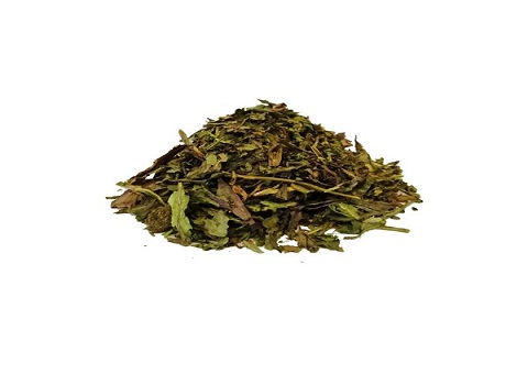 خرید و فروش گیاه کاسنی خشک شده با شرایط فوق العاده