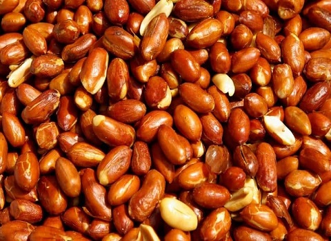 تصویر 2 از قیمت خرید بادام زمینی لعابی با فروش عمده