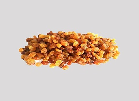 تصویر 2 از خرید کشمش پلویی قوچان + قیمت فروش استثنایی
