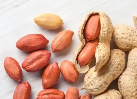 تصویر 1 از خرید و فروش بادام زمینی ایرانی با شرایط فوق العاده