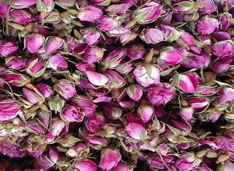 تصویر 3 از قیمت غنچه گل محمدی کاشان + خرید باور نکردنی