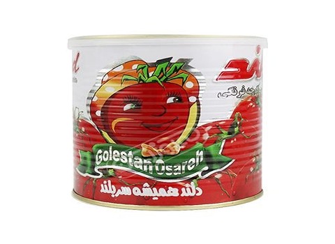 تصویر 2 از قیمت خرید رب گوجه فرنگی دلند + فروش ویژه