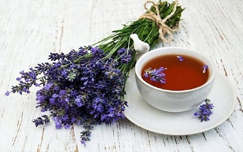 تصویر 4 از فروش گیاه دارویی گل گاوزبان + قیمت خرید به صرفه