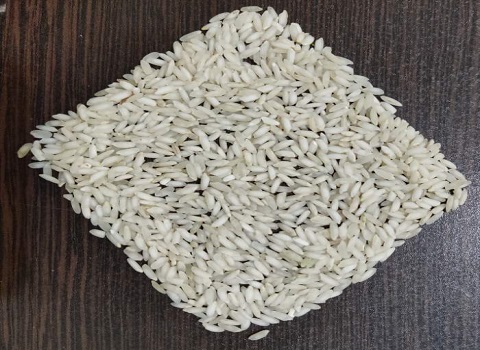 تصویر 4 از قیمت خرید برنج عنبر بو درجه یک با فروش عمده