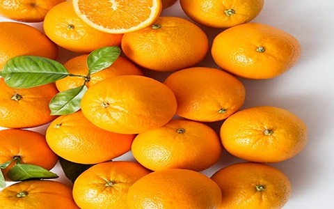 تصویر 3 از قیمت پرتقال ناول جیرفت + خرید باور نکردنی