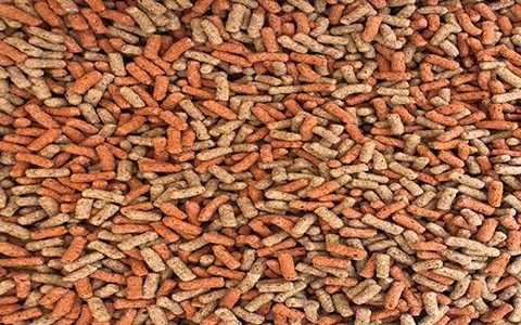 تصویر 2 از خرید و قیمت خوراک آبزیان پرورشی + فروش عمده
