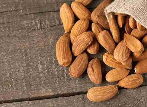 خرید و فروش بادام درختی ارگانیک با شرایط فوق العاده