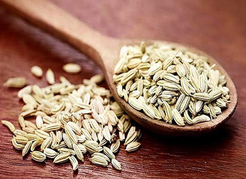 تصویر 1 از قیمت خرید گیاه دارویی بادیان + فروش ویژه