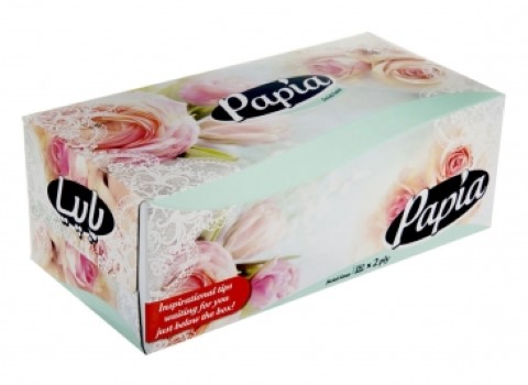 تصویر 1 از قیمت دستمال کاغذی دولایه پاپیا + خرید باور نکردنی