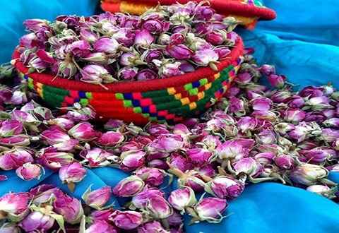تصویر 2 از خرید و قیمت  گل محمدی خشک شده  + فروش عمده