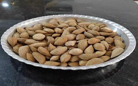 تصویر 2 از فروش بادام سنگی شهرکرد + قیمت خرید به صرفه