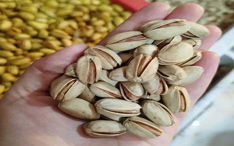 تصویر 3 از خرید پسته خام تازه + قیمت فروش استثنایی