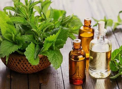 تصویر 4 از قیمت عرق گیاهی زوفا + خرید باور نکردنی