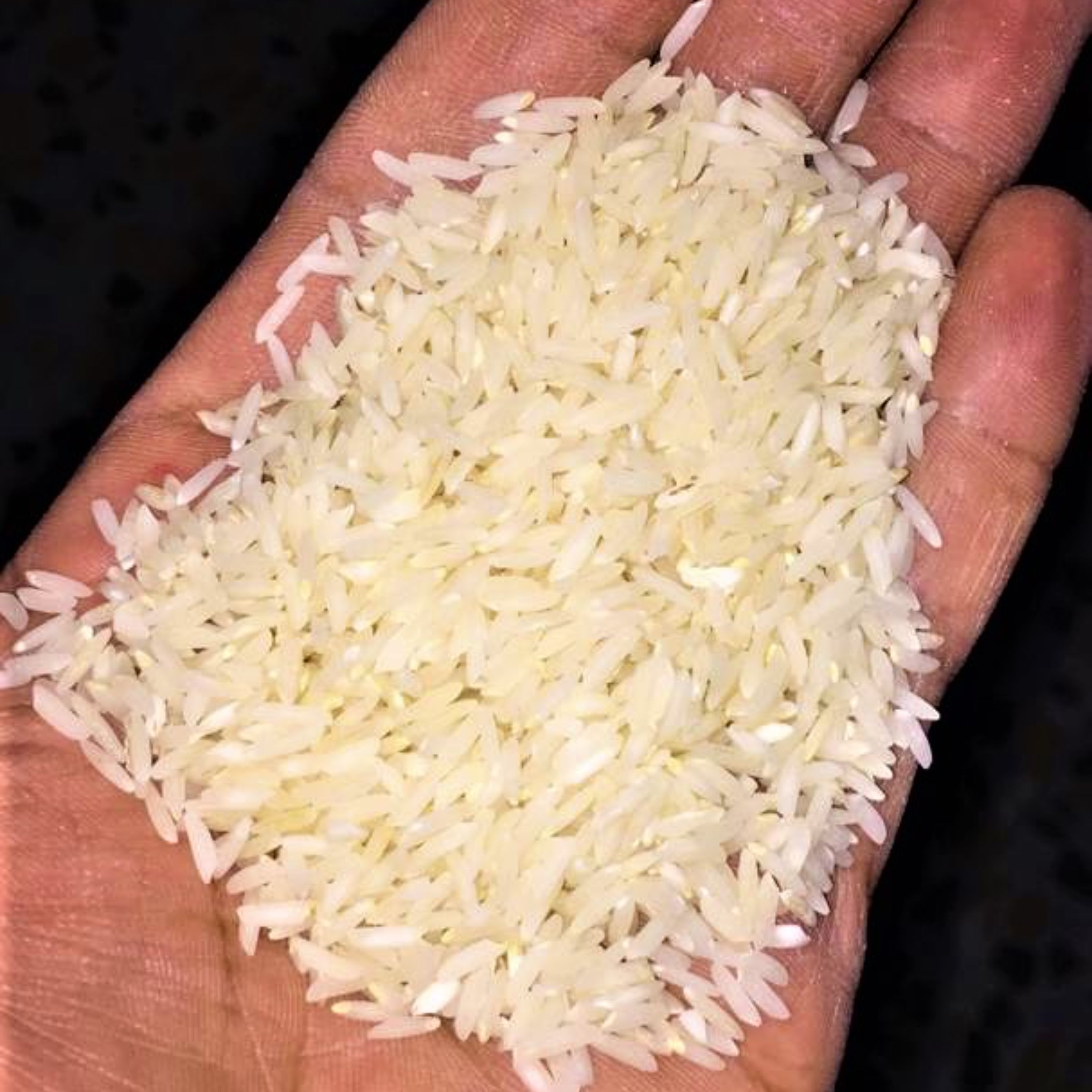 تصویر 4 از خرید برنج دانه بلند ایرانی + قیمت فروش استثنایی