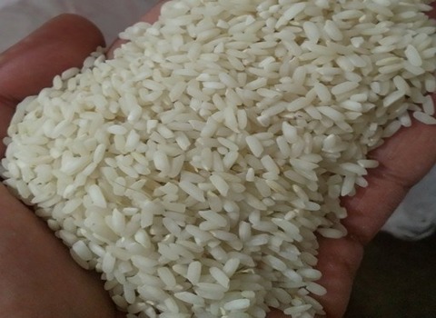 تصویر 3 از خرید و فروش برنج جنوب چمپا با شرایط فوق العاده