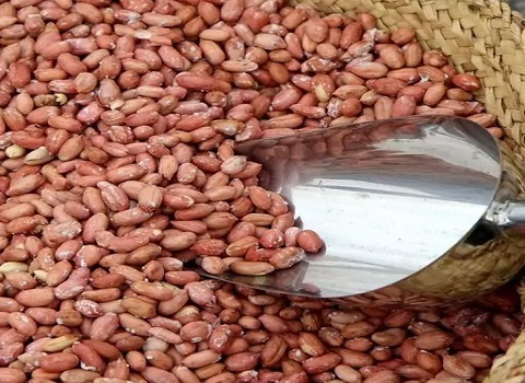 تصویر 2 از قیمت خرید بادام زمینی با پوست قرمز با فروش عمده