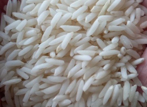 تصویر 2 از قیمت برنج هاشمی درجه یک + خرید باور نکردنی