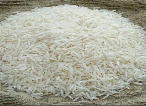 تصویر 1 از قیمت برنج طارم هاشمی شمال + خرید باور نکردنی
