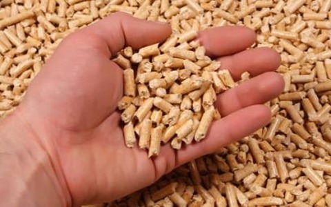 تصویر 4 از خرید خوراک ماهی خاویار + قیمت فروش استثنایی