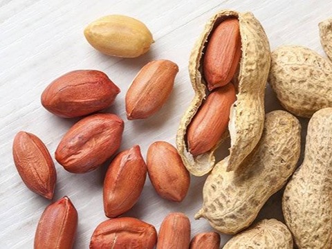 تصویر 1 از خرید و فروش بادام زمینی صادراتی با شرایط فوق العاده