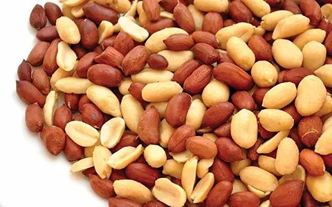 تصویر 2 از فروش بادام زمینی دو آتیشه + قیمت خرید به صرفه