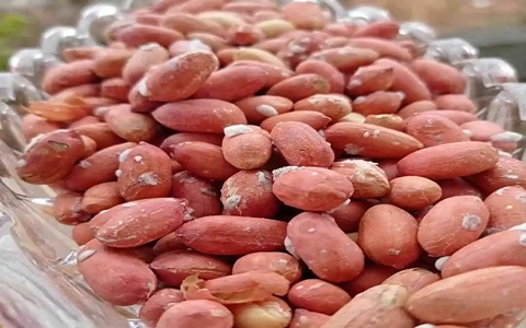 تصویر 4 از فروش بادام زمینی دو آتیشه + قیمت خرید به صرفه