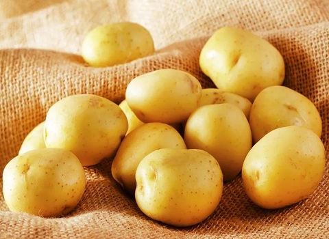 تصویر 1 از خرید و قیمت سیب زمینی اسپریت + فروش عمده
