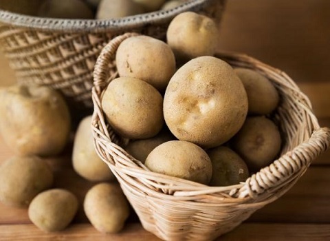 تصویر 4 از قیمت خرید سیب زمینی بامبا + فروش ویژه