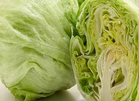 تصویر 2 از قیمت کاهو آیسبرگ صادراتی + خرید باور نکردنی
