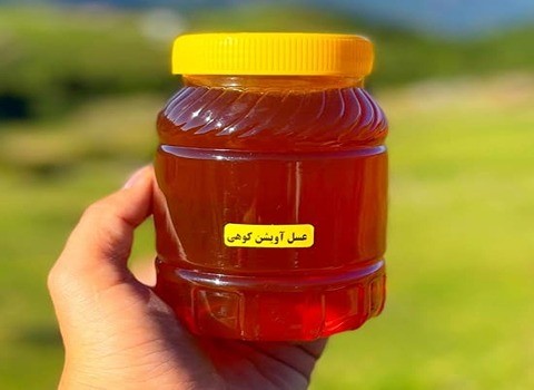 تصویر 1 از فروش عسل آویشن کوهی + قیمت خرید به صرفه