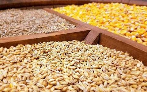 تصویر 1 از خرید مکمل بن زا پلکس ۷ + قیمت فروش استثنایی