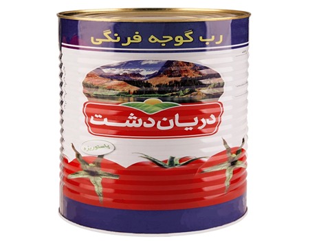 تصویر 1 از خرید رب گوجه فرنگی دریان دشت + قیمت فروش استثنایی