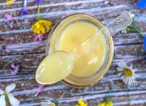 فروش ژل رویال عسل ملکه + قیمت خرید به صرفه