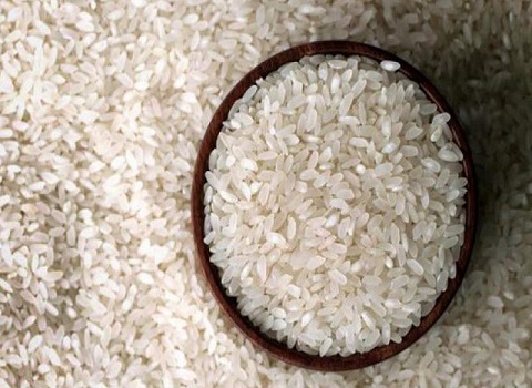 تصویر 3 از قیمت خرید برنج عنبربو وحدت + فروش ویژه