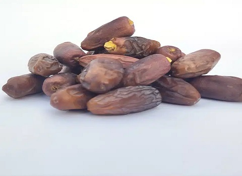 قیمت خرید خرما خشک دیری + فروش ویژه