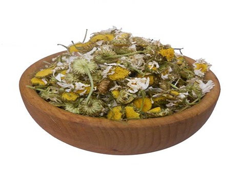 تصویر 2 از قیمت خرید گیاه خشک شده بابونه + فروش ویژه
