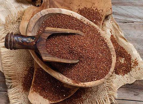 قیمت خاکشیر دانه