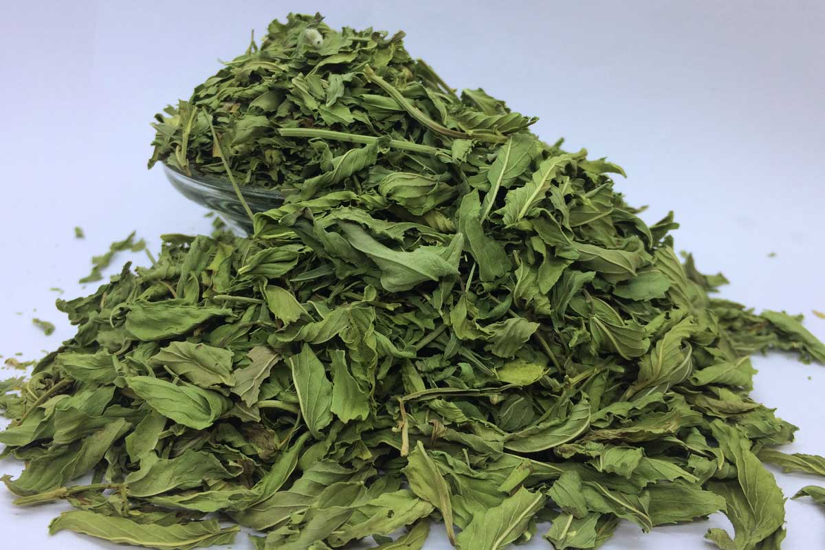 تصویر 1 از قیمت خرید گیاه نعناع خشک + فروش ویژه